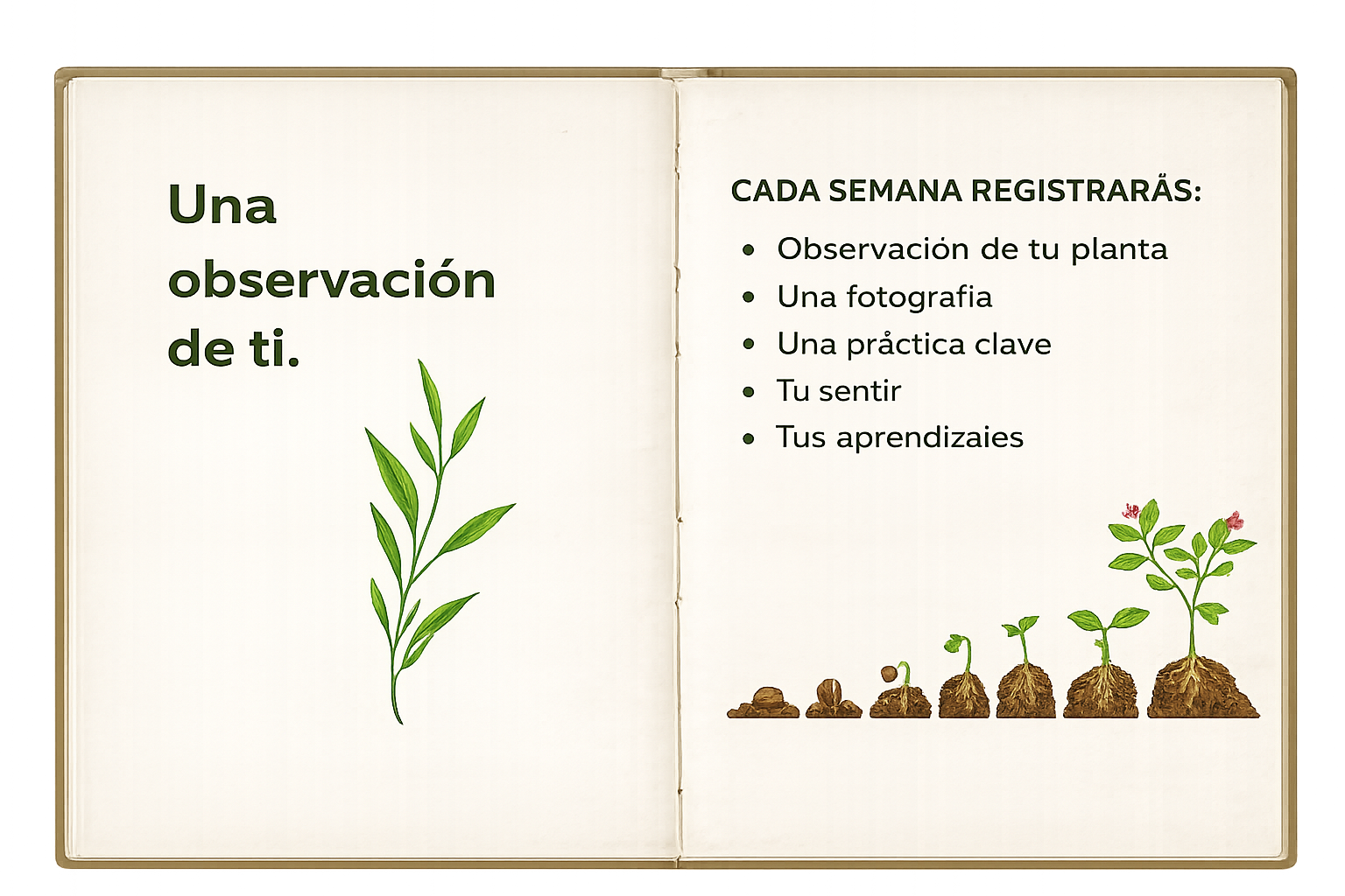 Bitácora del cultivo